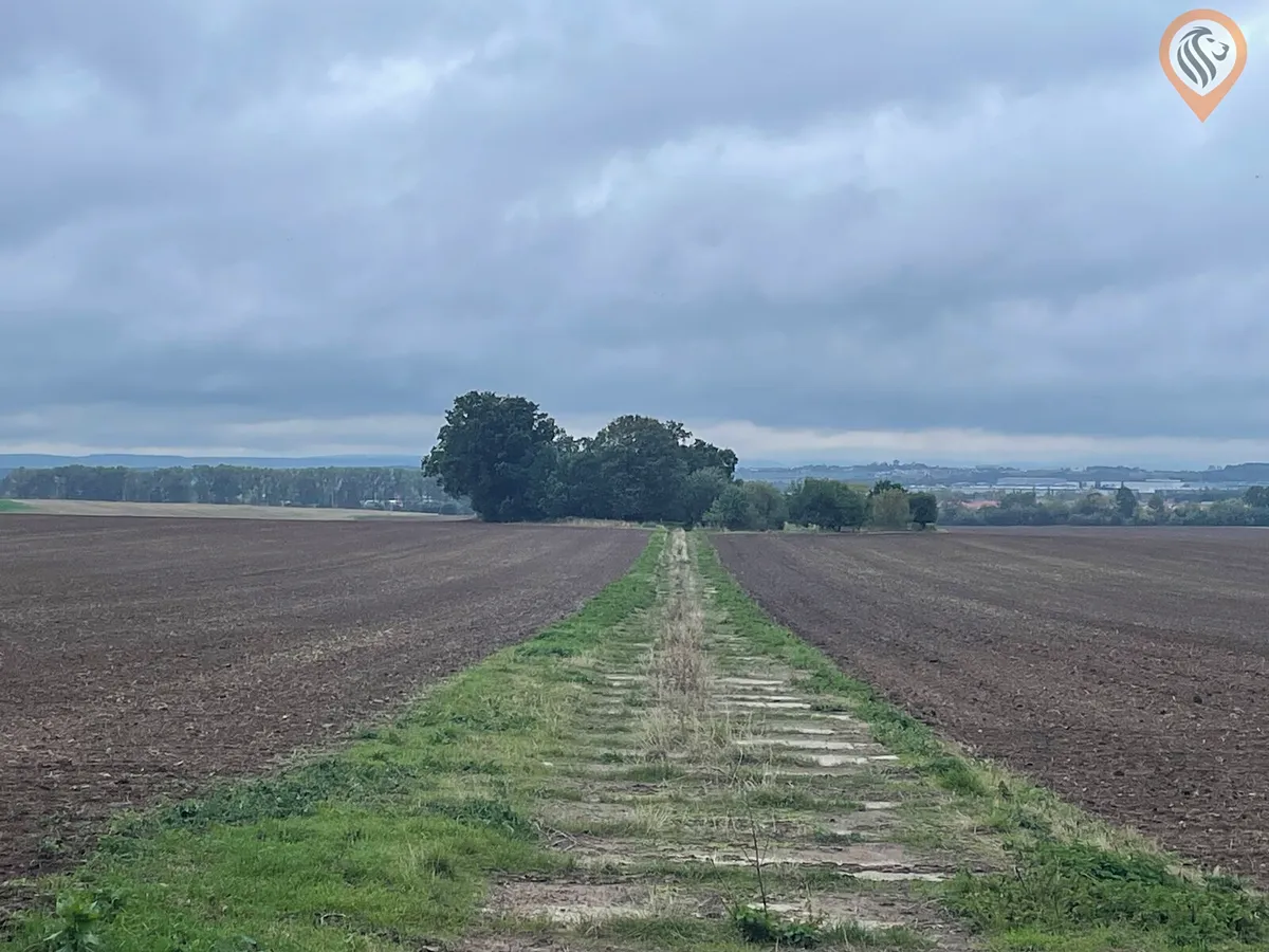 Fotka 15 z 17